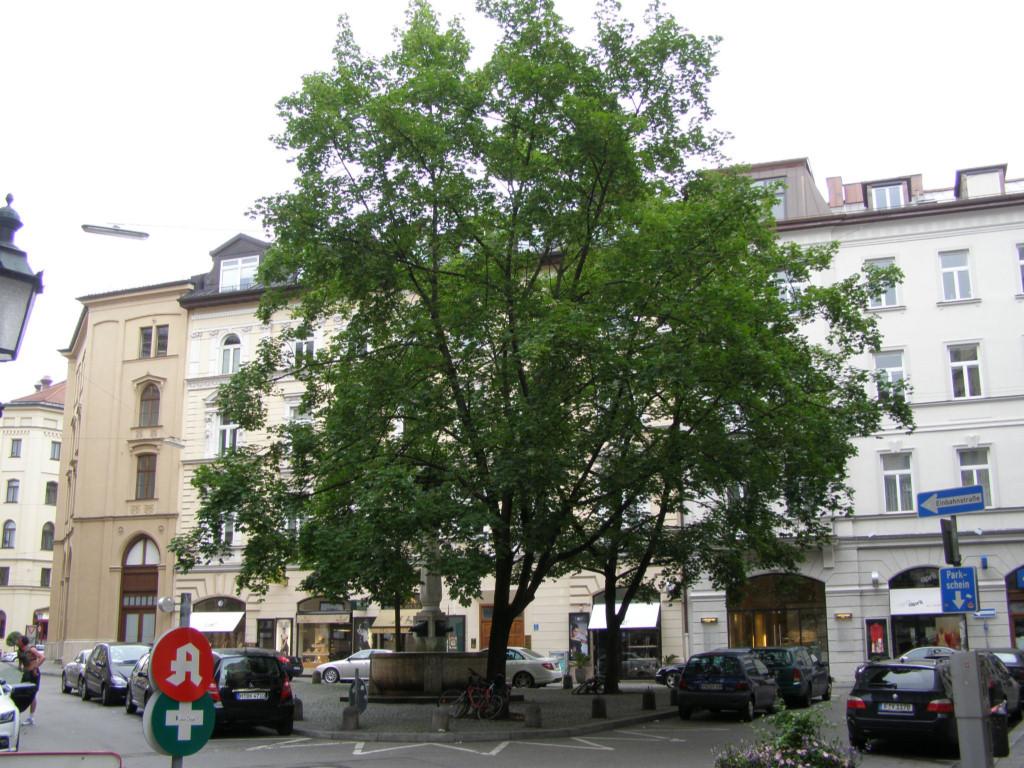 P6280259