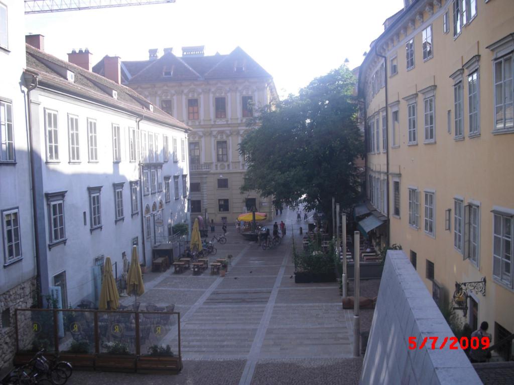 P7050294